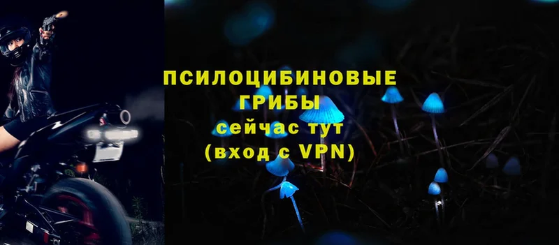 площадка наркотические препараты  Правдинск  Галлюциногенные грибы мухоморы 